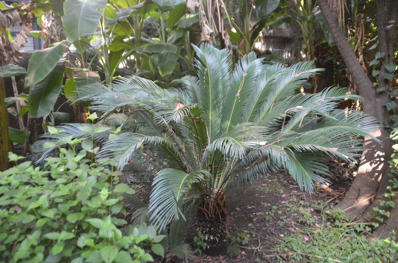Il Giardino Di Caronda Villa Catania